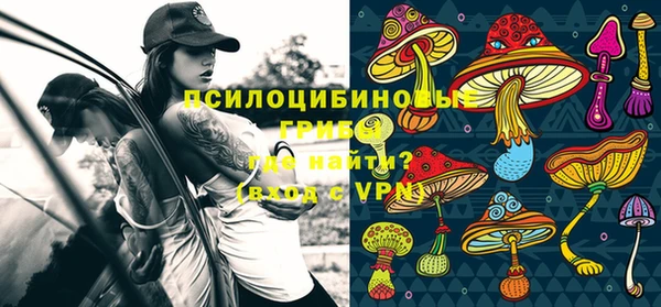 меф Осташков